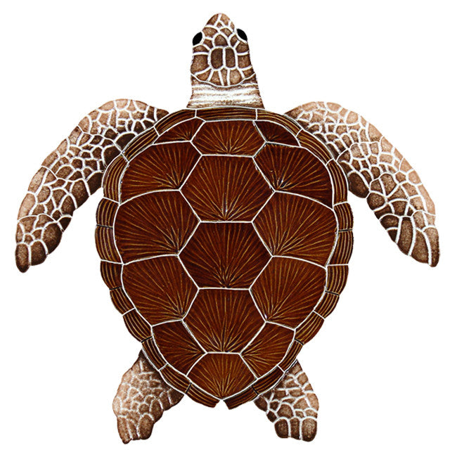 Loggerhead Brown Turtle Large – Ontario Pool Tile