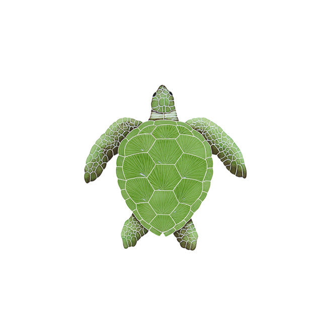 Small sales green turtle